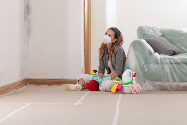 Reliable Mold Remediation contractor in Garysburg, NC by Cheap Mold Removal